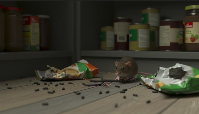 Rodent Control Dr. Phillips